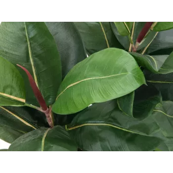 Umělá rostlina EUROPALMS gumovník, 120 cm 82600150