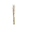 Kytice sušeného fenyklu EUROPALMS, zlatá, 160 cm 83502363