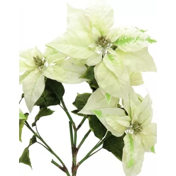Umělý keř vánoční hvězdy EUROPALMS, krémový, 60 cm 83500433
