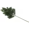 Jedlová větev EUROPALMS, PE, 65 cm 83500420
