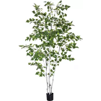 EUROPALMS Umělá bříza, 210 cm 82505232