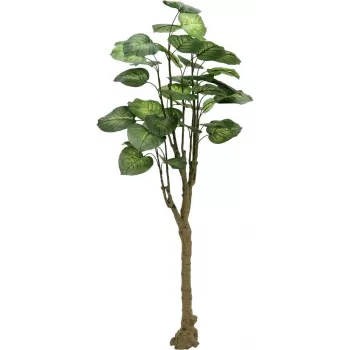 Umělá rostlina EUROPALMS Pothos strom, 175 cm 82600163