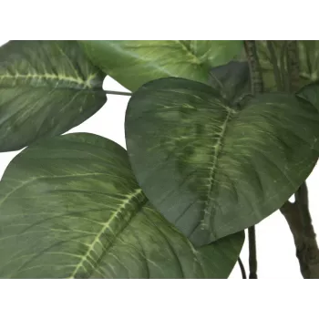 Umělá rostlina EUROPALMS Pothos strom, 175 cm 82600163
