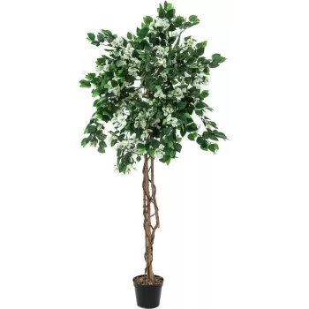 Umělá rostlina EUROPALMS Bougainvillea, bílá, 150 cm 82507085
