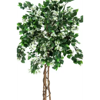 Umělá rostlina EUROPALMS Bougainvillea, bílá, 150 cm 82507085