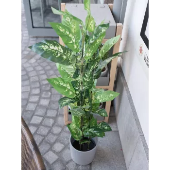 Umělá rostlina Dieffenbachia EUROPALMS 120 cm 82508306