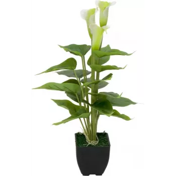 Umělá rostlina Calla mini EUROPALMS bílá 43 cm 82540347