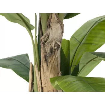 Umělý banánovník EUROPALMS 170 cm zelené listy černý květináč 82509539