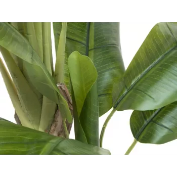 Umělý banánovník EUROPALMS 170 cm zelené listy černý květináč 82509539