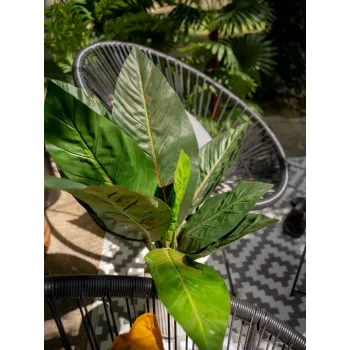 EUROPALMS Artificial Mangold Bush, 45cm, Green 82508302