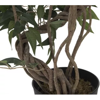 Umělá rostlina fikus Multi Spiral Trunk EUROPALMS, 130 cm 82806314