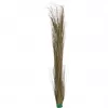 Umělé rákosí EUROPALMS, khaki, 127 cm 82505853