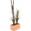 Umělé rákosí s klasy EUROPALMS, tmavě hnědé, 152 cm 82505857