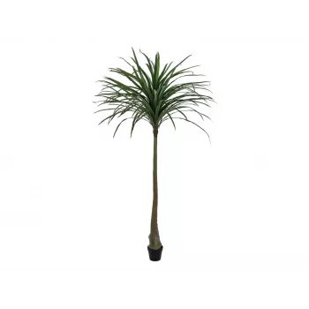 EUROPALMS Dracena Artificial Plant, Green, 220cm 82505798