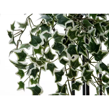 EUROPALMS Holland Ivy Hedge Screen Classic, umělý, 60cm 82502210