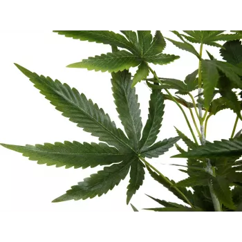 EUROPALMS Artificial Hemp Plant, 150cm 82506692