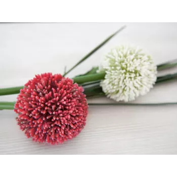 Umělý stonek allium EUROPALMS, červený, 55 cm 82530568