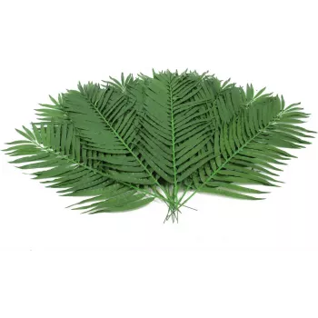 Umělé listy kokosové palmy EUROPALMS, 90 cm, 12 ks, zelené 82509896