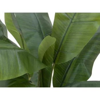 Umělý banánovník EUROPALMS, 120 cm, realistické zelené listy, černý květináč 82509537