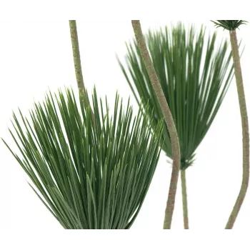 Umělá rostlina papyrus EUROPALMS, 130 cm 82600235