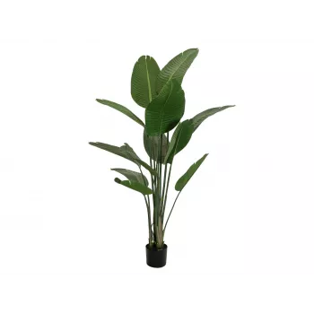 Umělá strelície EUROPALMS, 170 cm 82540523