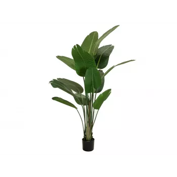 Umělá strelície EUROPALMS, 170 cm 82540523