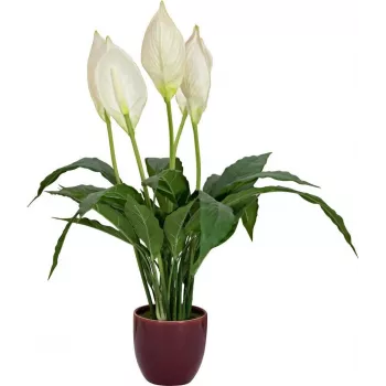 Umělá lilie míru EUROPALMS, 60 cm 82505660