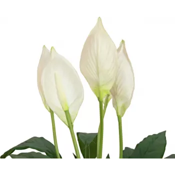 Umělá lilie míru EUROPALMS, 60 cm 82505660