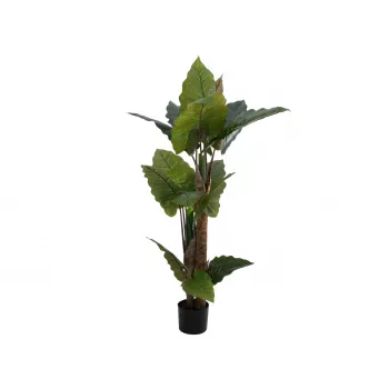 Umělá rostlina alokázie EUROPALMS, 140 cm, zelená, černý květináč 82508464