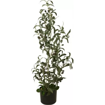 Umělý olivovník EUROPALMS, 90 cm 82506422