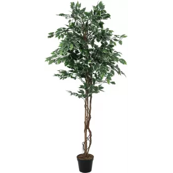 Umělá rostlina EUROPALMS Silberficus Benjamina, 180 cm 82506116