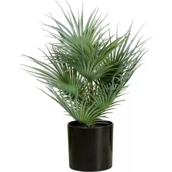 Umělá vějířovitá palma v květináči EUROPALMS, 55 cm 82509401