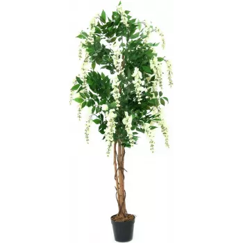 Umělá rostlina EUROPALMS Goldregen, bílá, 150cm (82507105)