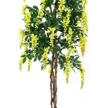 Umělá rostlina EUROPALMS Goldregen, žlutá, 150cm 82507115