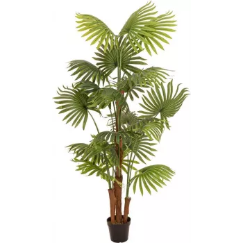 EUROPALMS Artificial Fan Palm, 165 cm 82509305
