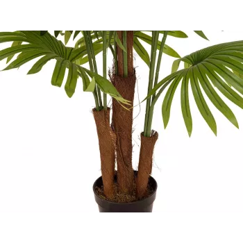 EUROPALMS Artificial Fan Palm, 165 cm 82509305