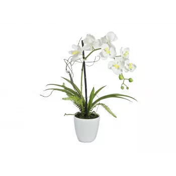 EUROPALMS Artificial Orchid Arrangement 1, Potted, White-Pink, 60 cm 82530346