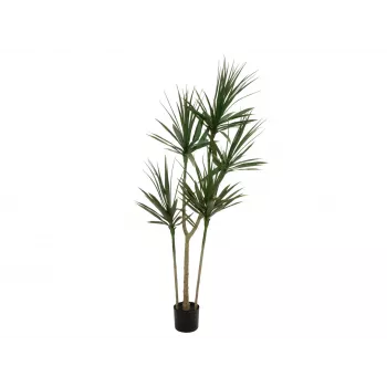 Umělá rostlina EUROPALMS Dracena, zelená, 170 cm 82505799