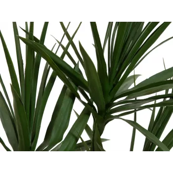 Umělá rostlina EUROPALMS Dracena, zelená, 170 cm 82505799