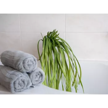 Umělá mořská tráva EUROPALMS (EVA), zelená 82531062