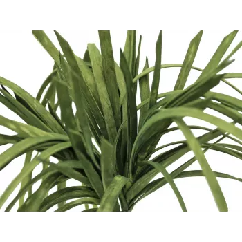 Umělá mořská tráva EUROPALMS (EVA), zelená 82531062