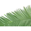 Umělý list kokosové královské palmy EUROPALMS, 180 cm 82509847
