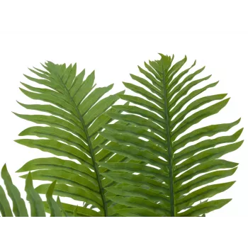 EUROPALMS Cycas Palm Artificial Plant, 70 cm 82509604