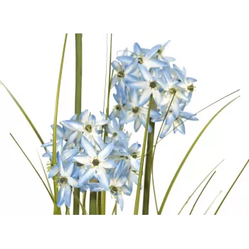 Umělá rostlina EUROPALMS Allium tráva, modrá, 120 cm 82600168