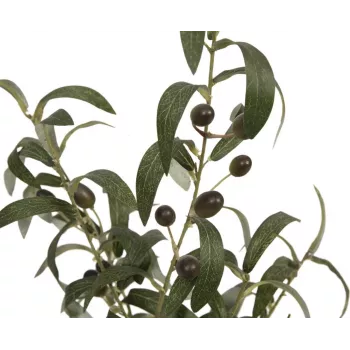 Umělý olivovník EUROPALMS, 68 cm, zelené listy, černý květináč 82506421