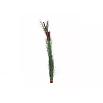 EUROPALMS Artificial Reed Grass with Cattails, Dark Green, 152cm 82505854