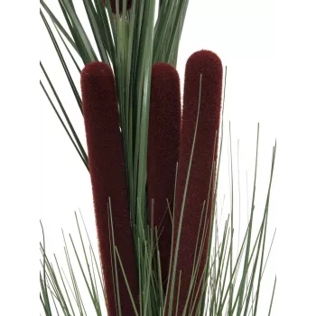 EUROPALMS Artificial Reed Grass with Cattails, Dark Green, 152cm 82505854