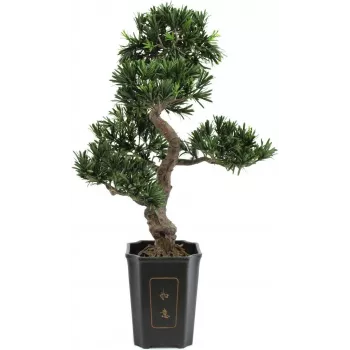EUROPALMS Bonsai Podocarpus Artificial Plant, 80cm 82600116