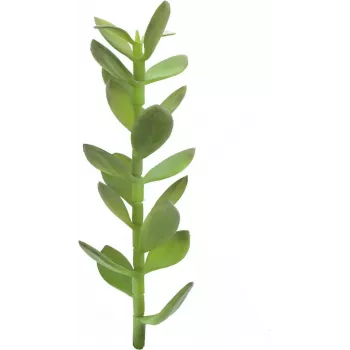 EUROPALMS Money Tree Sprout Artificial Plant, 30cm 82809010