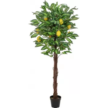 EUROPALMS Artificial Lemon Tree, 150cm 82507815